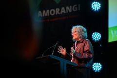 WELLINGTON, NEW ZEALAND - July 29: Amorangi Māori in Governance Summit July 29, 2026 in Wellington, New Zealand. (Photo by Mark Tantrum/ http://marktantrum.com)