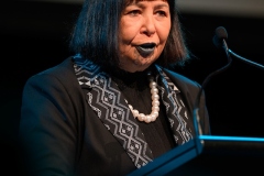 WELLINGTON, NEW ZEALAND - July 29: Amorangi Māori in Governance Summit July 29, 2026 in Wellington, New Zealand. (Photo by Mark Tantrum/ http://marktantrum.com)