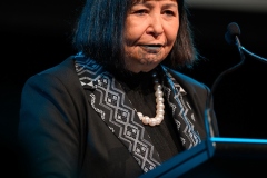 WELLINGTON, NEW ZEALAND - July 29: Amorangi Māori in Governance Summit July 29, 2026 in Wellington, New Zealand. (Photo by Mark Tantrum/ http://marktantrum.com)