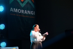 WELLINGTON, NEW ZEALAND - July 29: Amorangi Māori in Governance Summit July 29, 2026 in Wellington, New Zealand. (Photo by Mark Tantrum/ http://marktantrum.com)